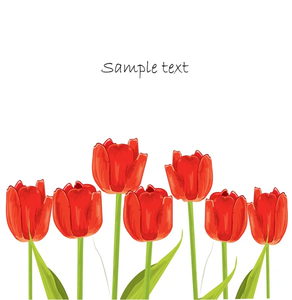 Red tulip spring card — Stock Vector