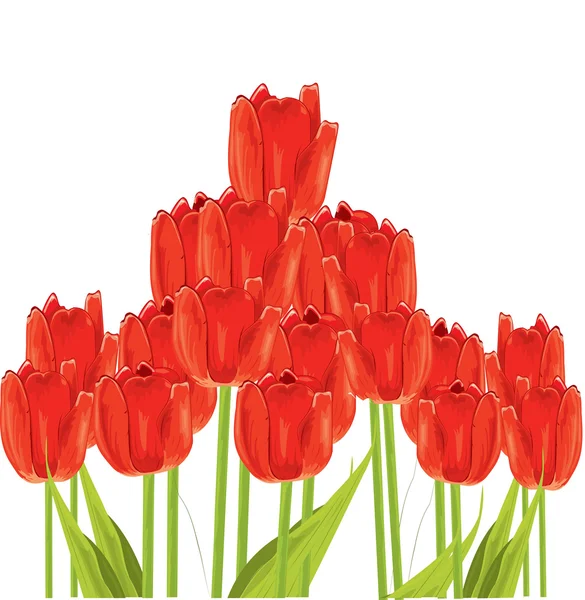 stock vector Bunch of tulips isolated on white background