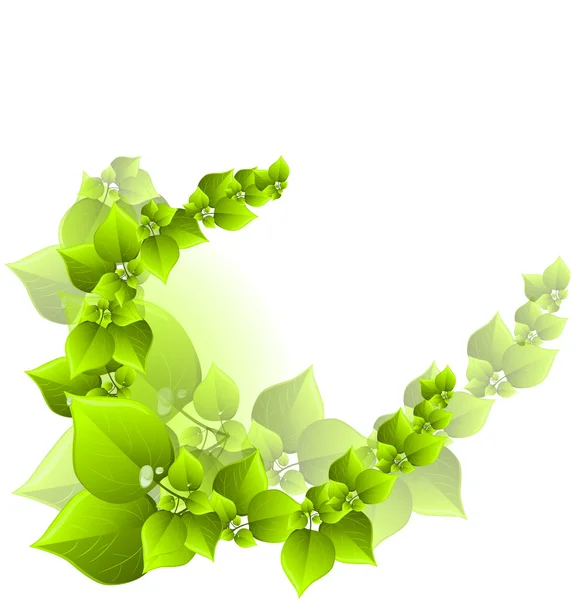 신선한 녹색 배경 — 스톡 벡터