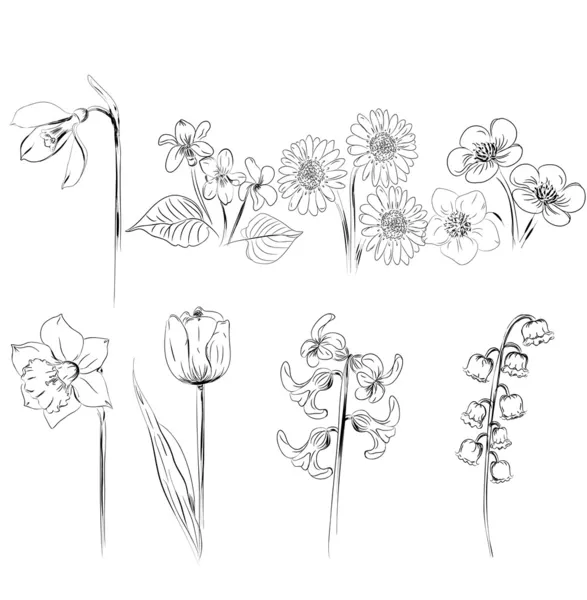 Collection of flower sketches — Stock Vector