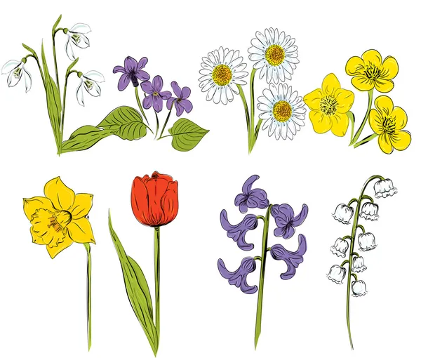 Ilustração vetorial do conjunto de flores da primavera — Vetor de Stock