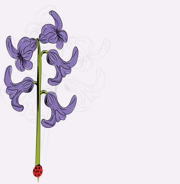 Vektor illustration av violett hyacint blomma — Stock vektor