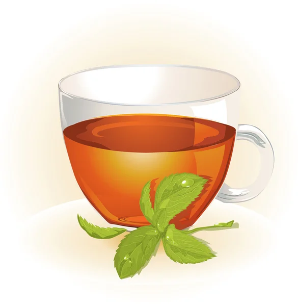 Скляна чашка чаю з м'ятою — стоковий вектор