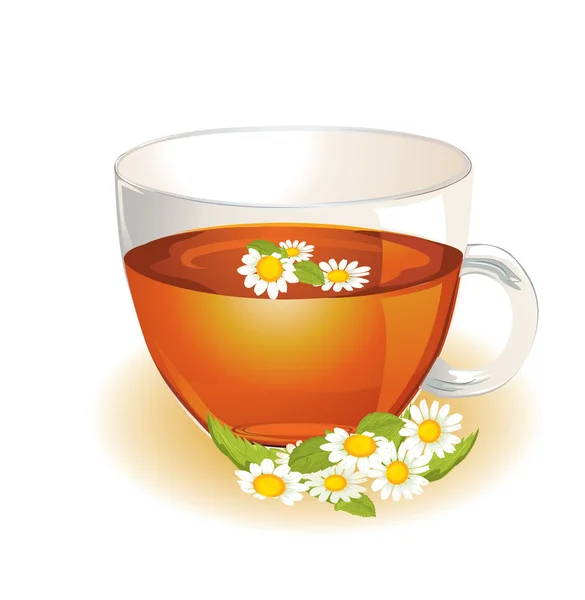 Cup of hot herbal camomile — Stock Vector