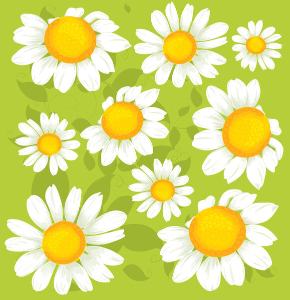 Seamless flowers pattern