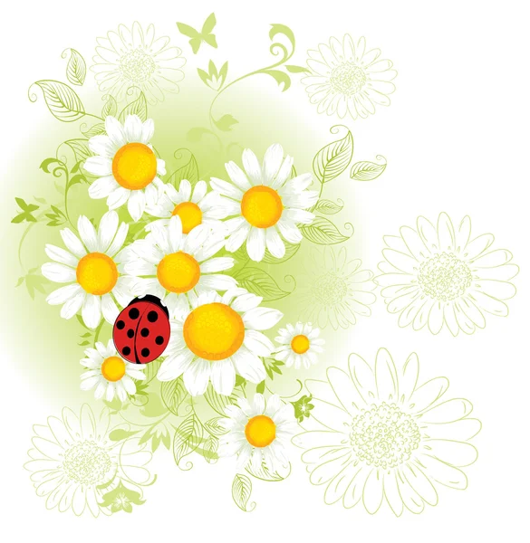 Chamomil floral background — Stock vektor