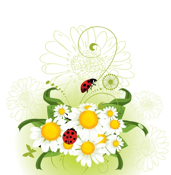 Chamomil Design floral — Image vectorielle
