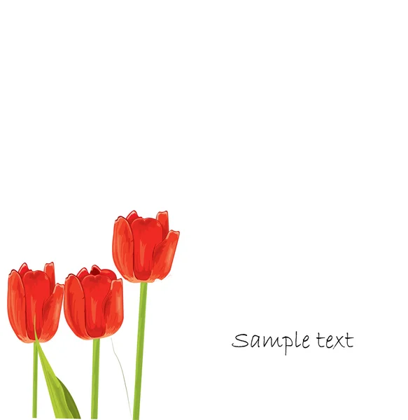 Tarjeta de primavera tulipán rojo — Vector de stock