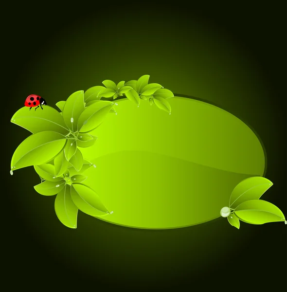 Wektor zielony liść i biedronka z miejsca na tekst — Wektor stockowy