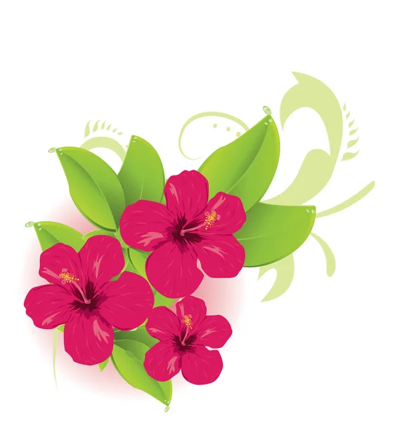 Flor tropical — Vetor de Stock