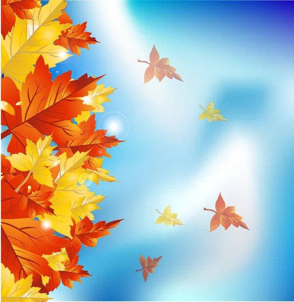 秋天的树叶边框 — 图库矢量图片