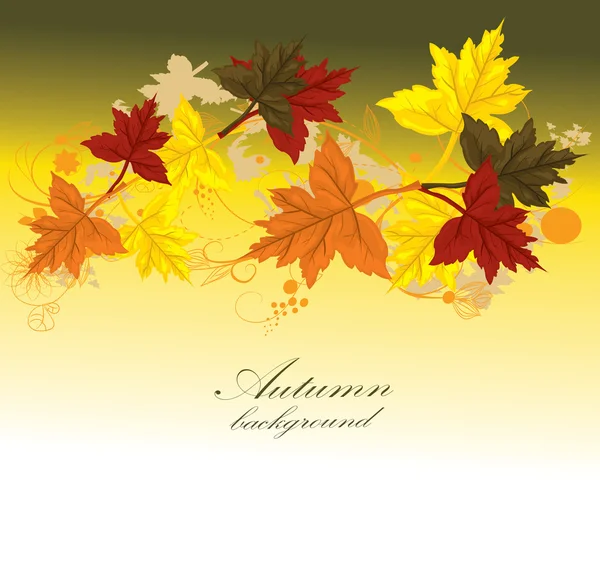 葉を持つ秋のベクトル背景 — ストックベクタ