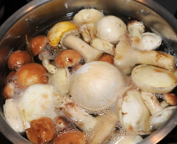 Boiling mushrooms — Stock Photo, Image