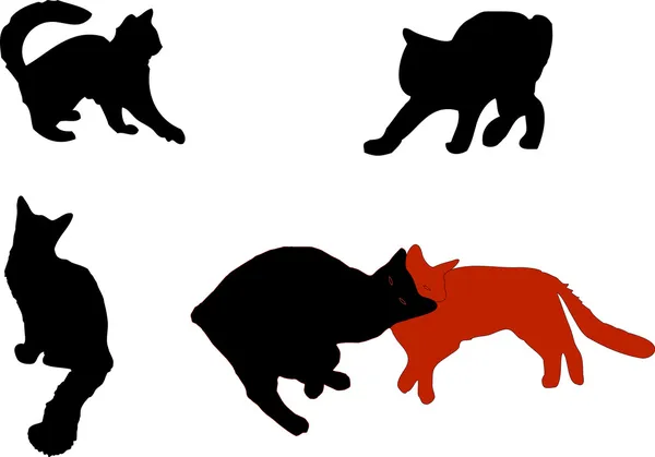 Cats silhouettes — Stock Photo, Image