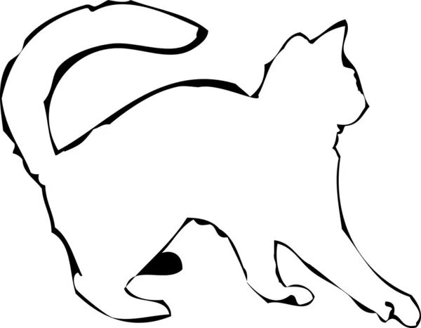 Сомалийская кошка — стоковый вектор