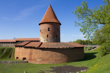 güneşli bir bahar gününde kaunas Kalesi