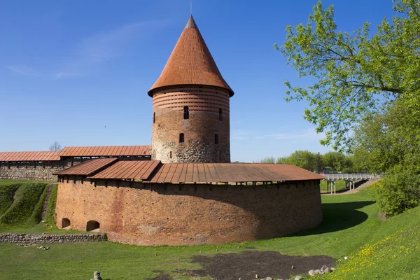 Die Burg von Kaunas an einem sonnigen Frühlingstag — Stockfoto