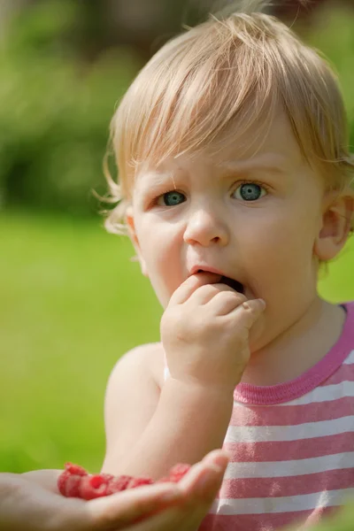 El niño come frambuesas. —  Fotos de Stock