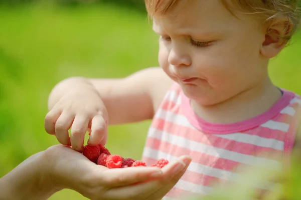El niño come frambuesas. — Foto de Stock