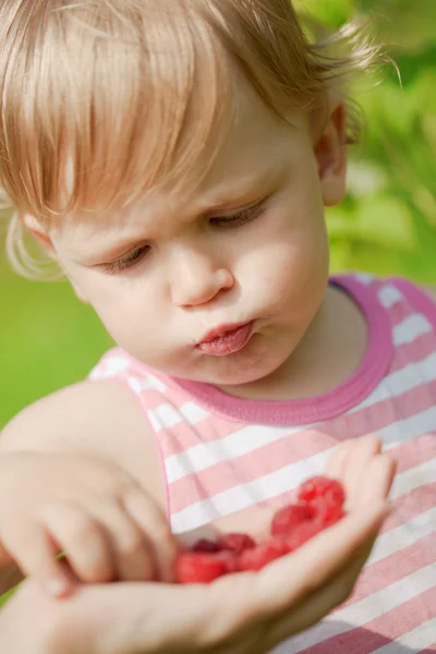 El niño come frambuesas. — Foto de Stock