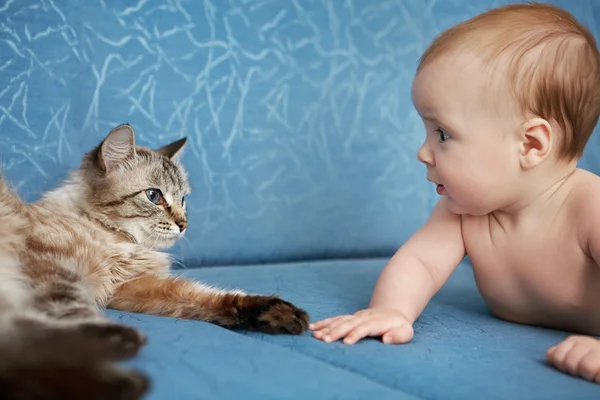아기와 고양이 — 스톡 사진