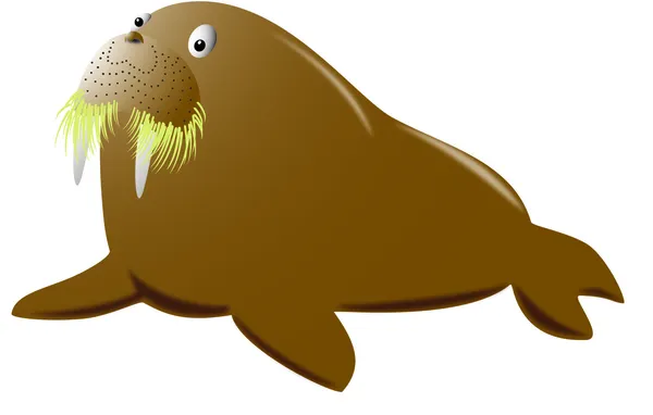 Walrus — Stockvector