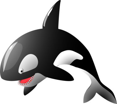 Killer whale clipart