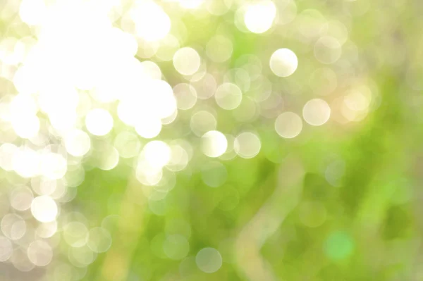 Greens and the sun — Stock Photo, Image