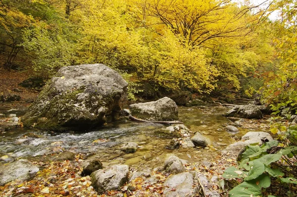 Landschap met berg rivier in herfst bos — Stockfoto