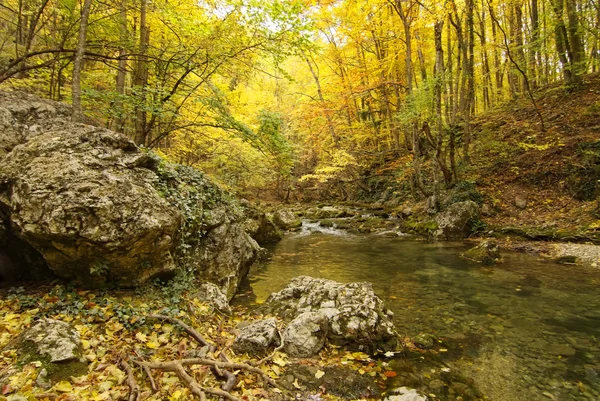 Τοπίο με ποτάμι βουνό στο φθινόπωρο δάσος — Φωτογραφία Αρχείου