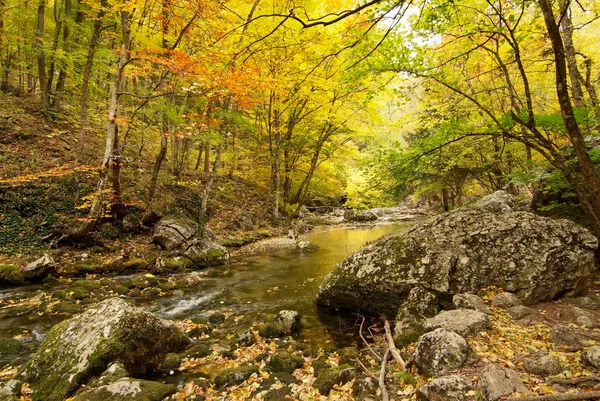 Krajina s horské řeky v podzimním lese — Stock fotografie