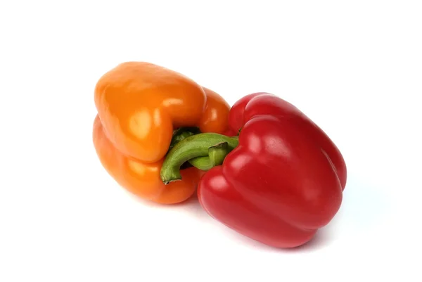 Paar van kleurrijke paprika — Stockfoto