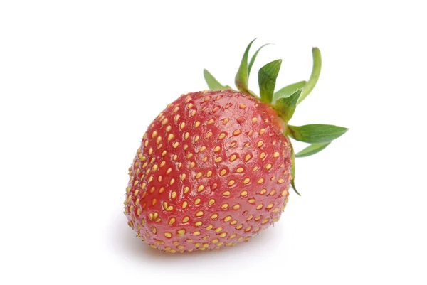 Frische rote Erdbeere isoliert auf weiß — Stockfoto