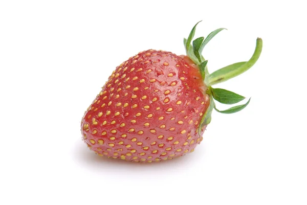 stock image Fresh red strawberry isolated on white