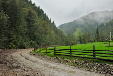 landelijke weg in Karpatische dorp