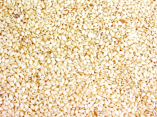 tahıl tohumları