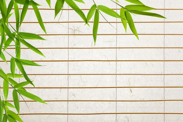 Fundo de papel de arroz com folhas de bambu — Fotografia de Stock