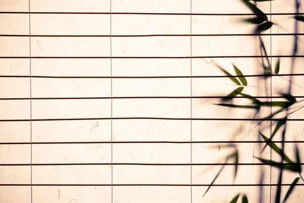 Rijstpapier achtergrond met bamboe bladeren — Stockfoto
