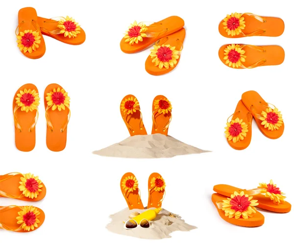 Collection flip-flops — Stock Photo, Image