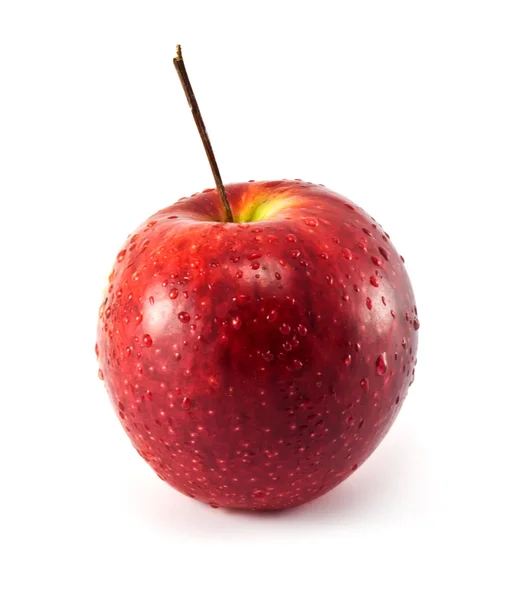 Uma maçã suculenta vermelha isolada no fundo branco — Fotografia de Stock