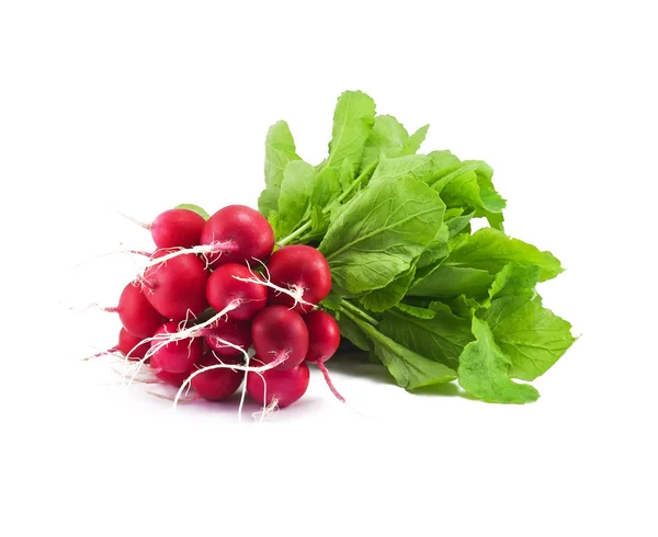 Fresh radishes — Stock Photo, Image