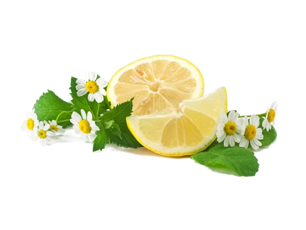 Segments of lemon with mint and with chamomile — Stock Photo, Image