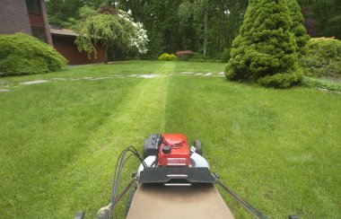 Lawnmower cutting grass clipart