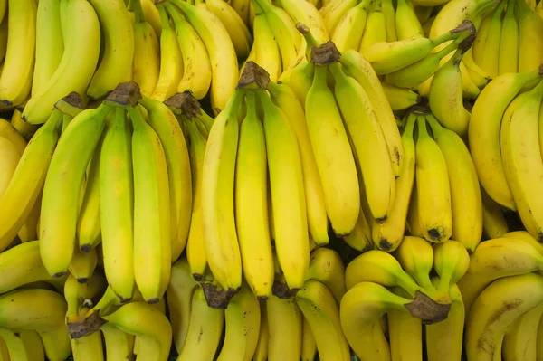 stock image Bunches of bananas