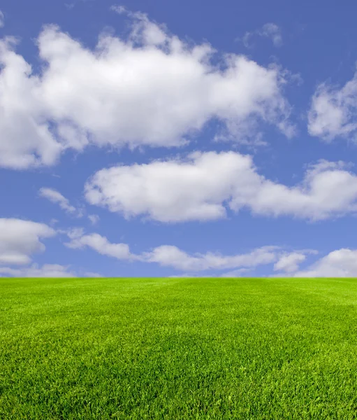 stock image Cloudy sky and grass