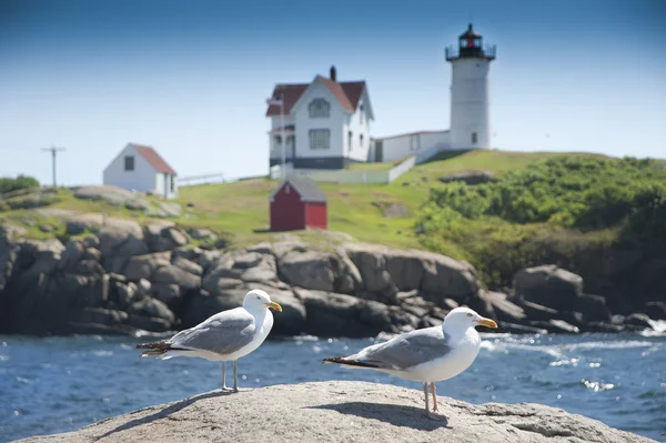 Two seagulls and lighthouse — Stock Photo, Image