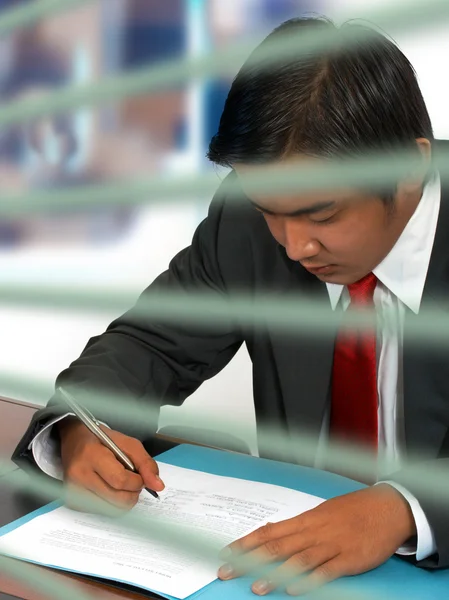 Businessman Reading a Document — Stock Photo, Image
