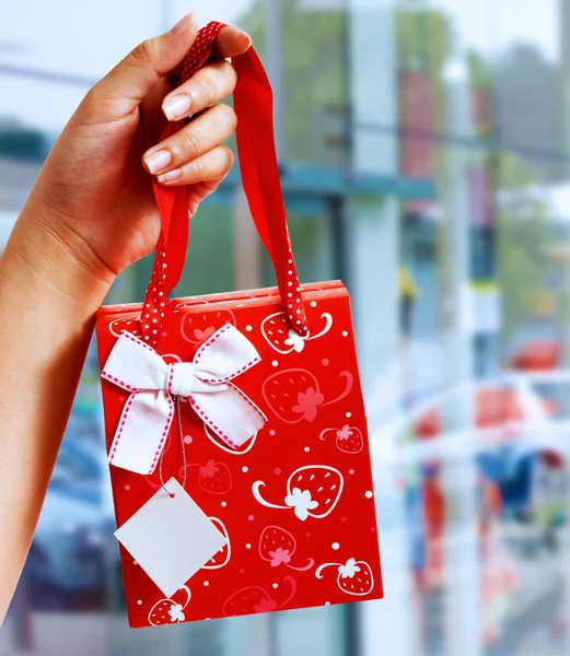 A Gift Wrapped Bag Being Held Up — Stock Photo, Image