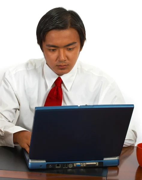 Employé de bureau utilisant un ordinateur — Photo