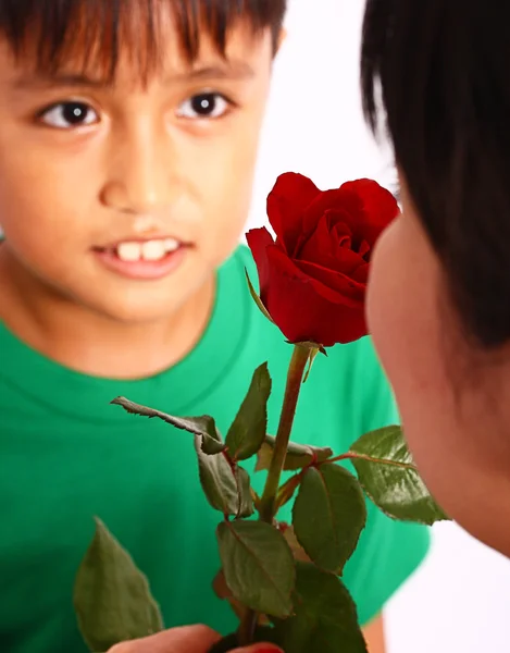 Хлопчик дарує мамі троянду — стокове фото